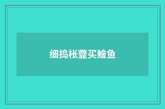细捣枨虀买鱠鱼