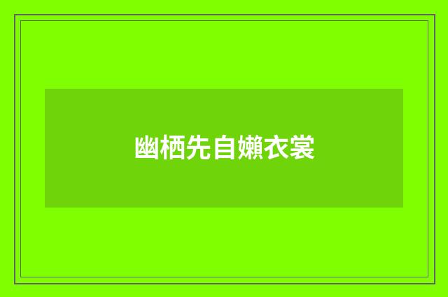 幽栖先自嬾衣裳