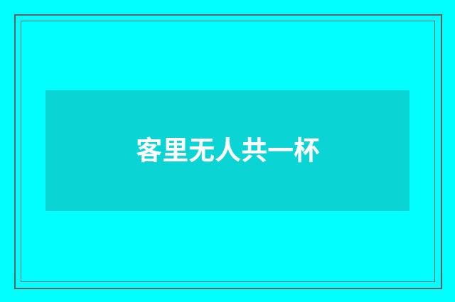 客里无人共一杯
