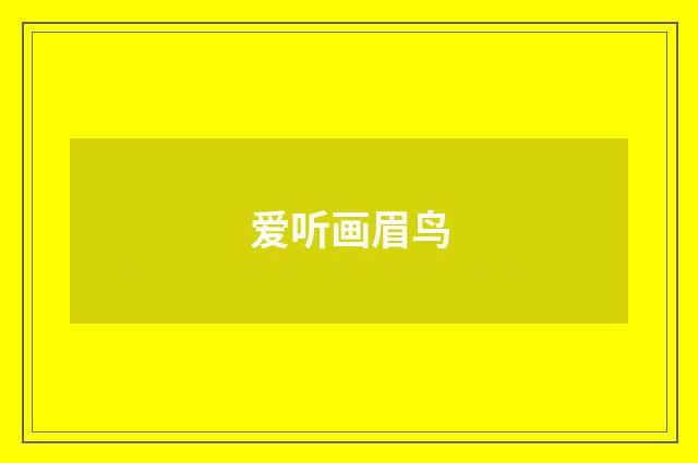 爱听画眉鸟