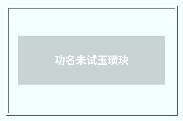 功名未试玉璜玦