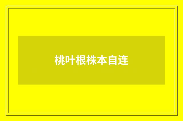 桃叶根株本自连