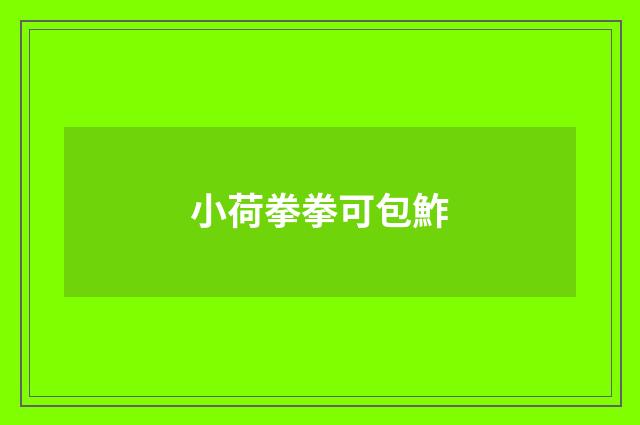 小荷拳拳可包鮓