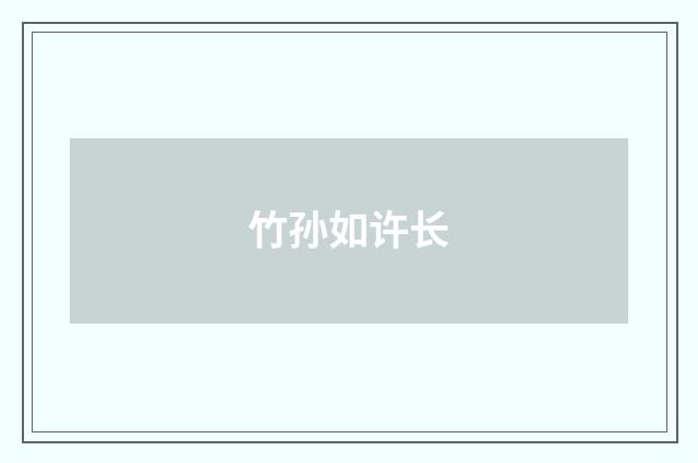 竹孙如许长