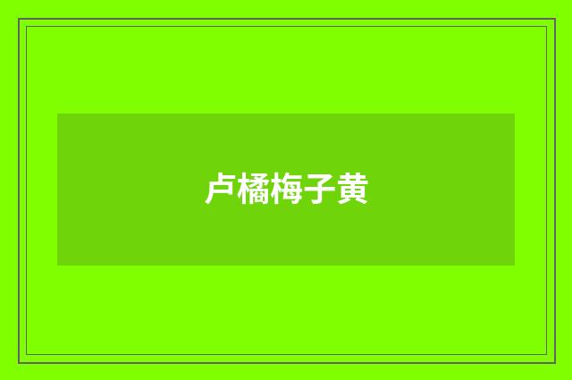 卢橘梅子黄