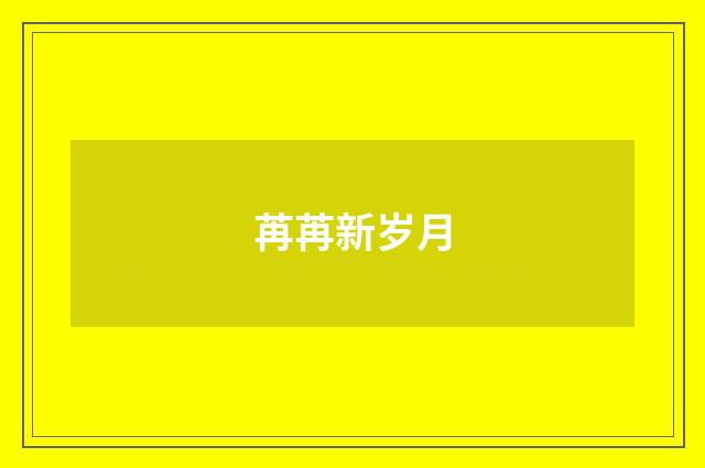 苒苒新岁月