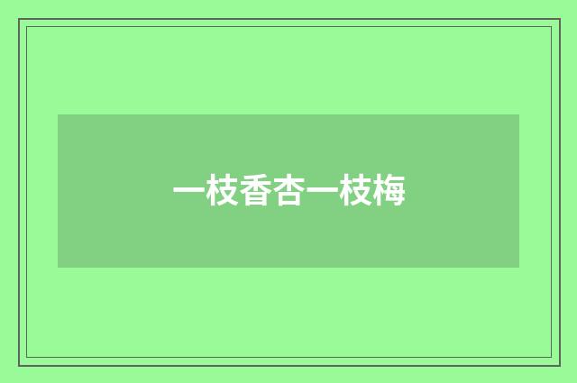 一枝香杏一枝梅