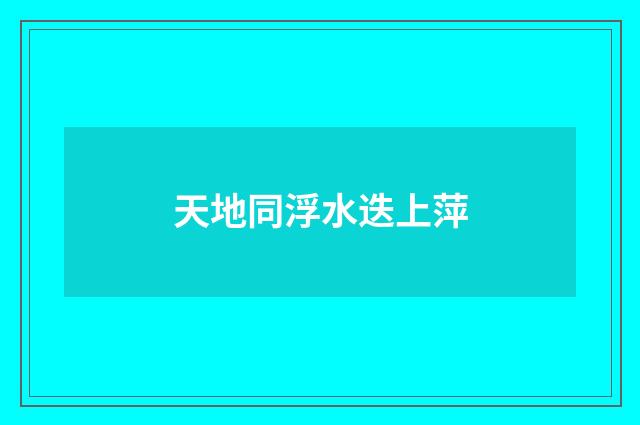 天地同浮水迭上萍