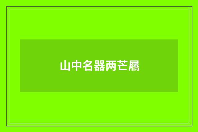 山中名器两芒屩