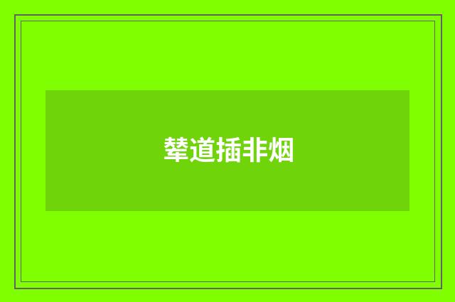 辇道插非烟