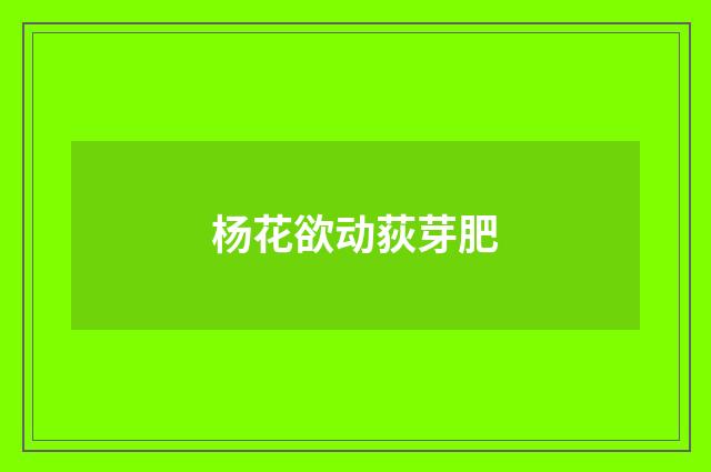杨花欲动荻芽肥