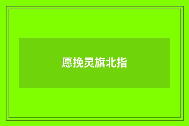 愿挽灵旗北指