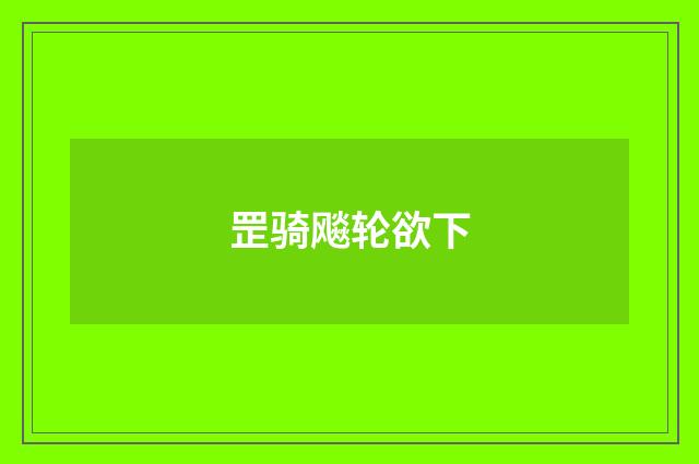 罡骑飚轮欲下