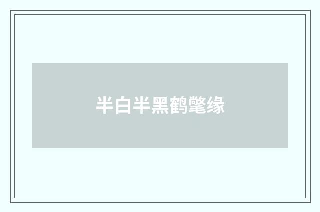 半白半黑鹤氅缘