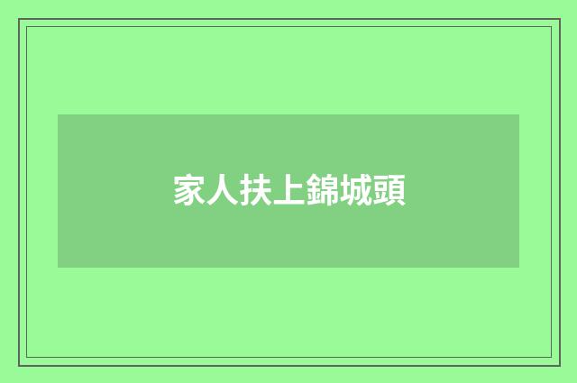 家人扶上錦城頭