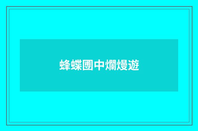 蜂蝶圑中爛熳遊