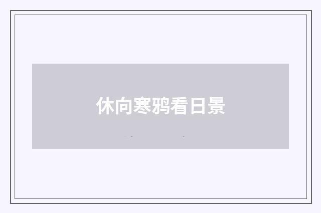 休向寒鸦看日景