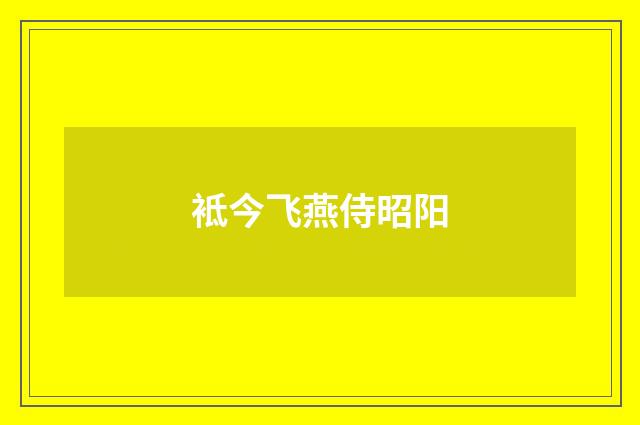 袛今飞燕侍昭阳