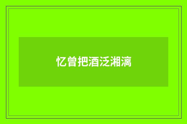 忆曾把酒泛湘漓