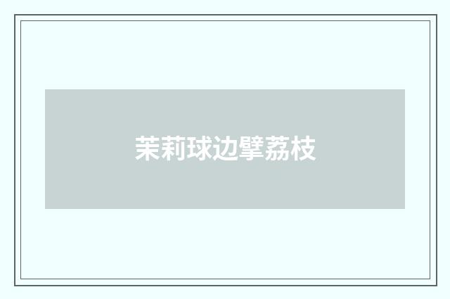 茉莉球边擘荔枝