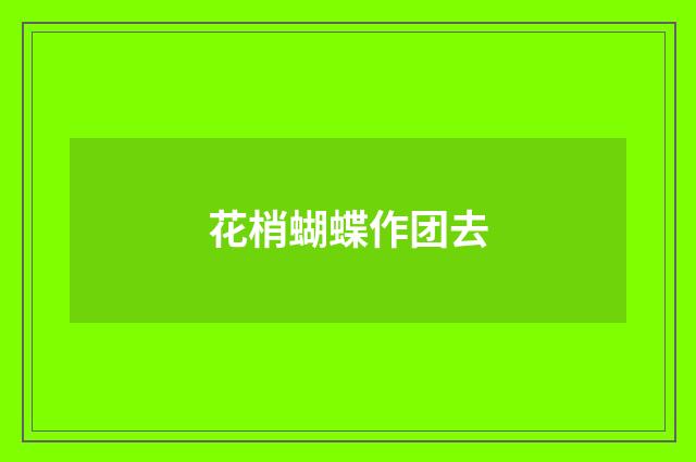 花梢蝴蝶作团去