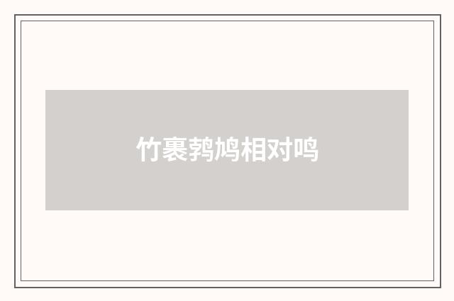 竹裹鹁鸠相对鸣