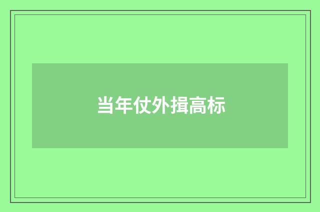 当年仗外揖高标