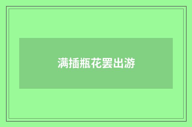 满插瓶花罢出游