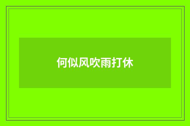 何似风吹雨打休