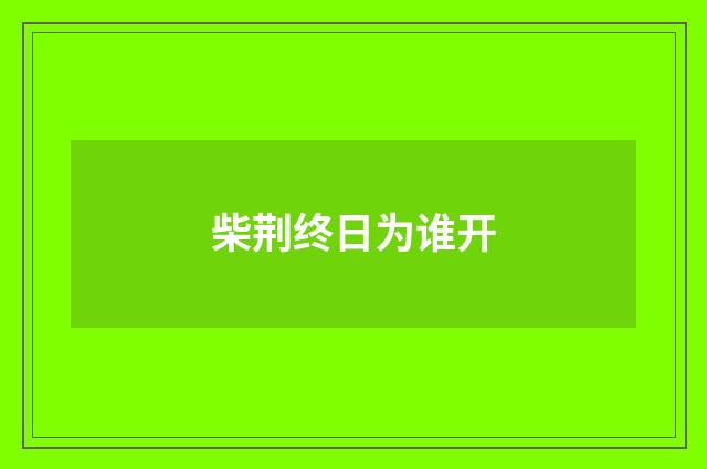柴荆终日为谁开