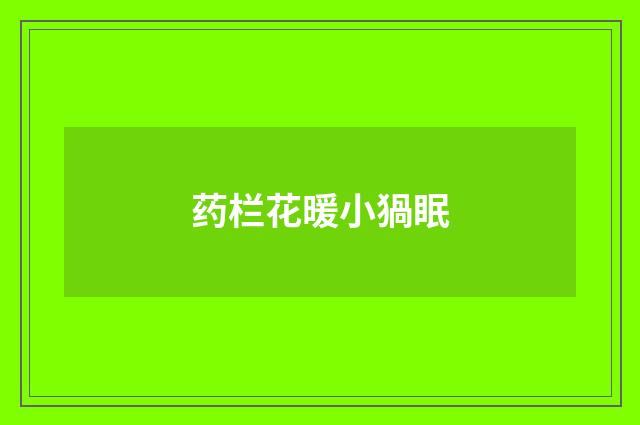 药栏花暖小猧眠