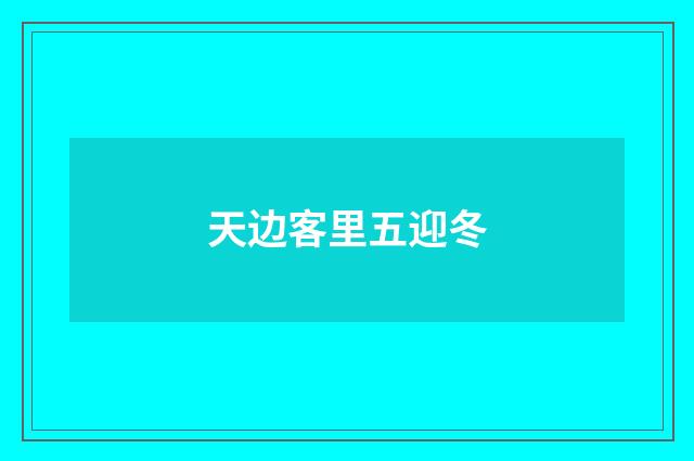 天边客里五迎冬