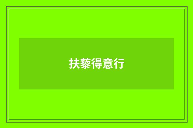 扶藜得意行