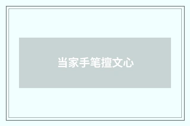 当家手笔擅文心