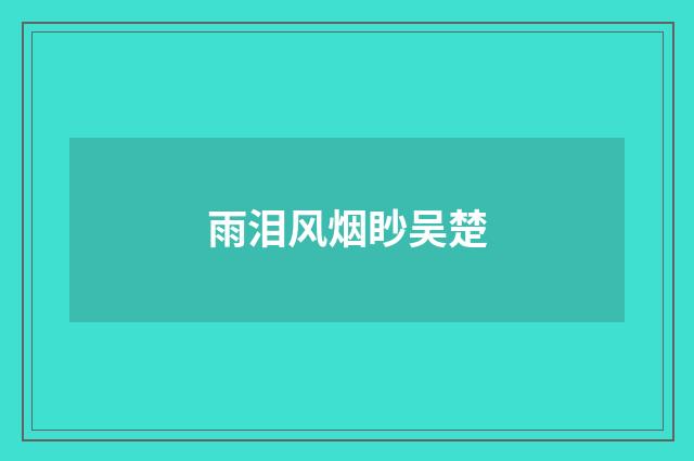 雨泪风烟眇吴楚