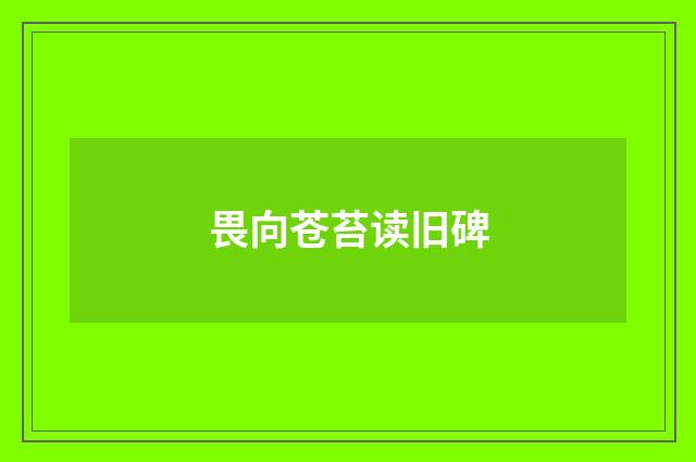 畏向苍苔读旧碑