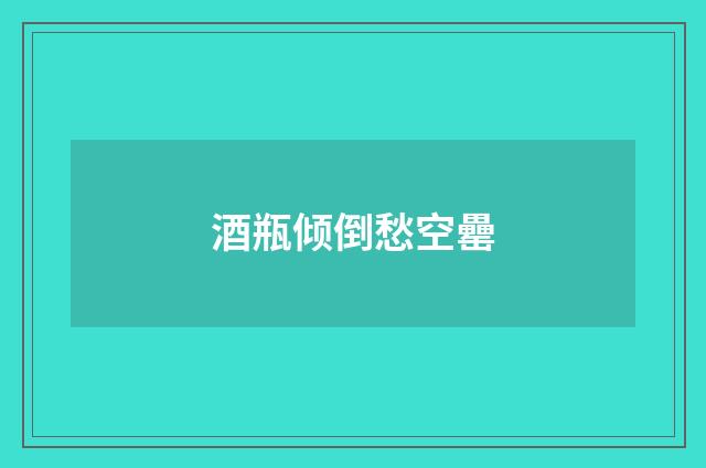 酒瓶倾倒愁空罍