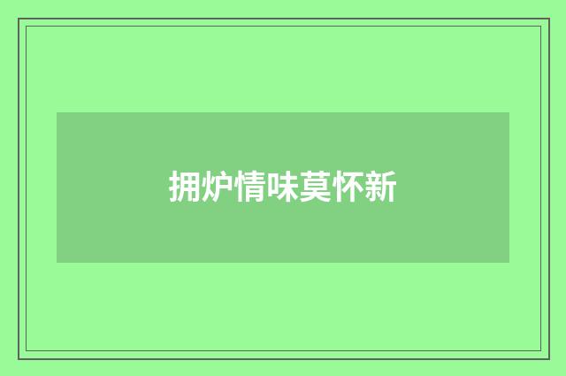 拥炉情味莫怀新