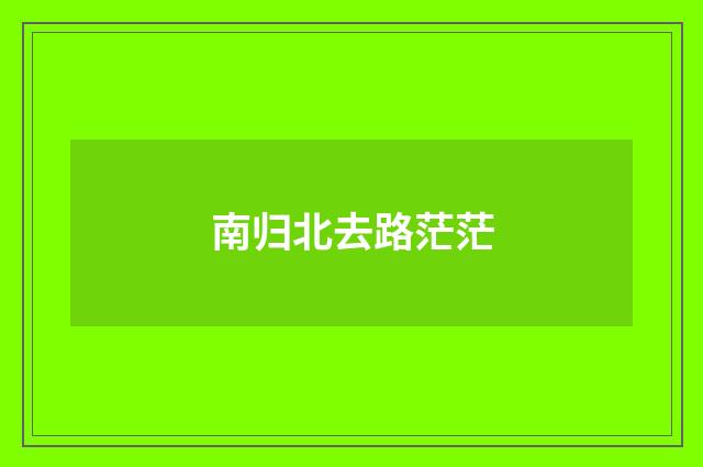 南归北去路茫茫