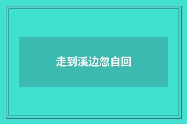 走到溪边忽自回