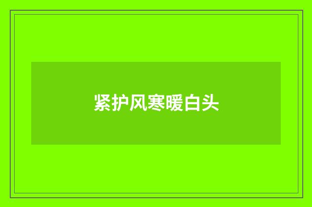 紧护风寒暖白头