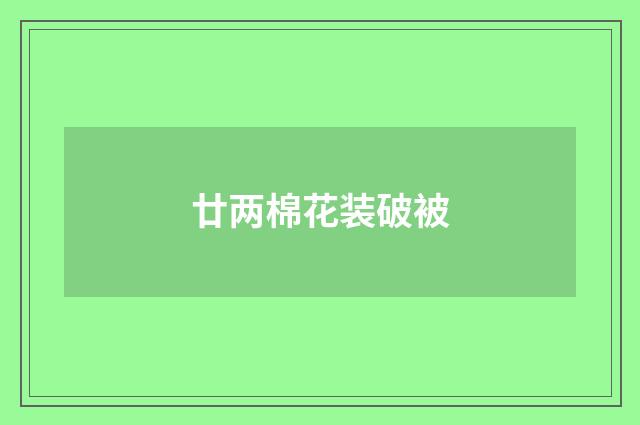 廿两棉花装破被