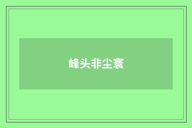 峰头非尘寰