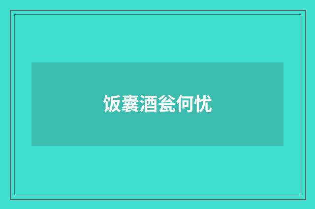 饭囊酒瓮何忧