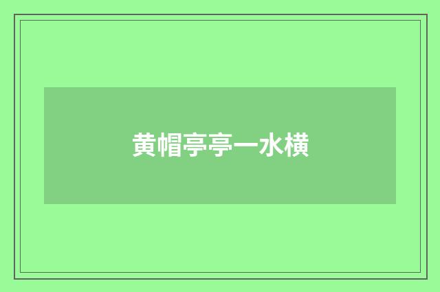 黄帽亭亭一水横