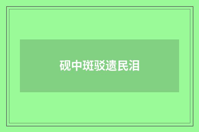 砚中斑驳遗民泪