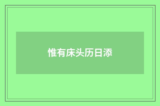 惟有床头历日添
