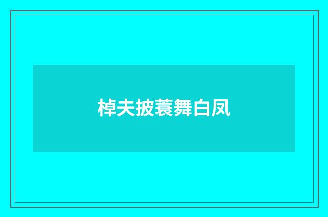 棹夫披蓑舞白凤