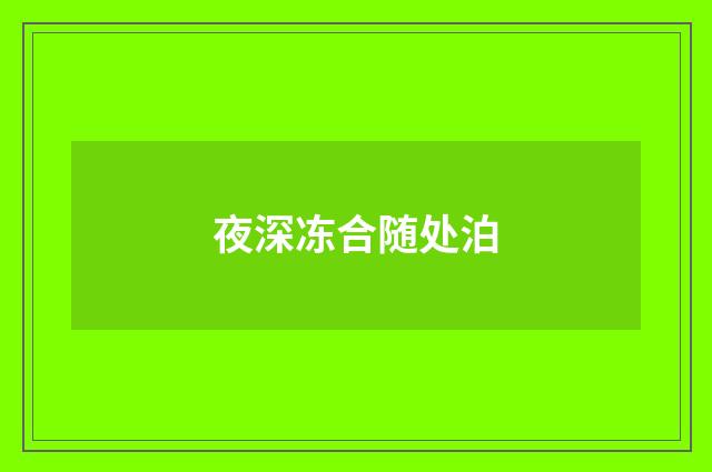 夜深冻合随处泊