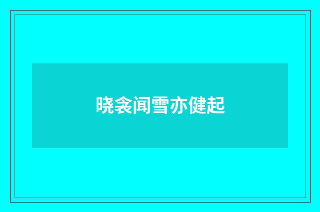 晓衾闻雪亦健起